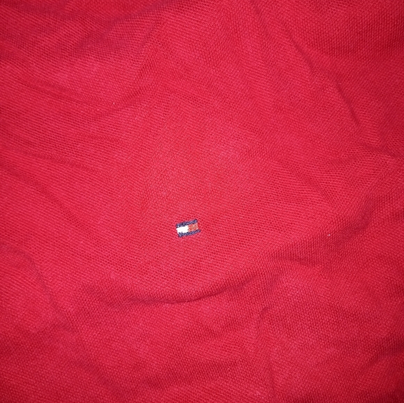 Tommy Polo - Picture 2 of 3